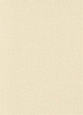 PARADISO PARATO SU TNT TINTA UNITA